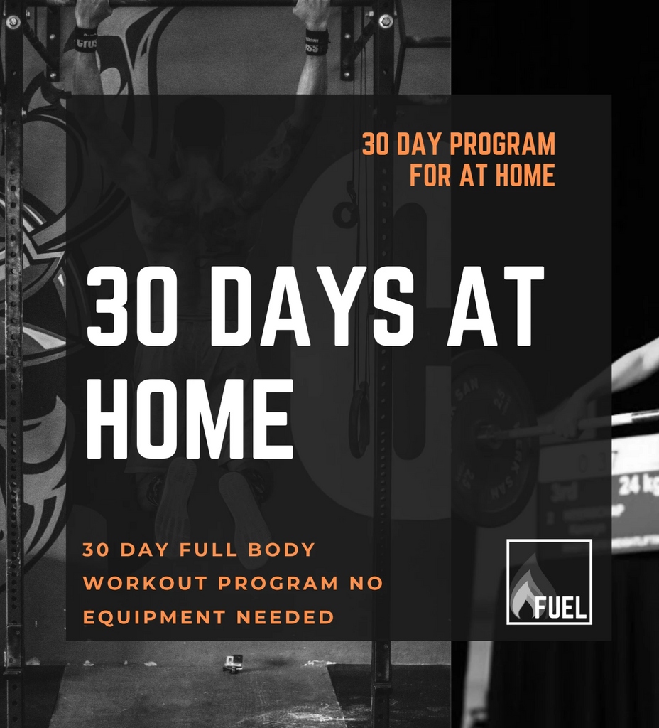 30 Day no equipment home workout fitness for beginners (Lvl.1
